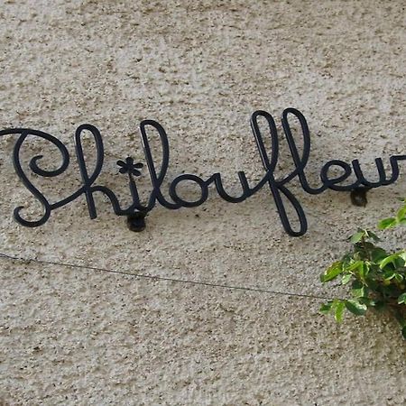 Philoufleur - Gite Restaure En Campagne Chaneins Εξωτερικό φωτογραφία